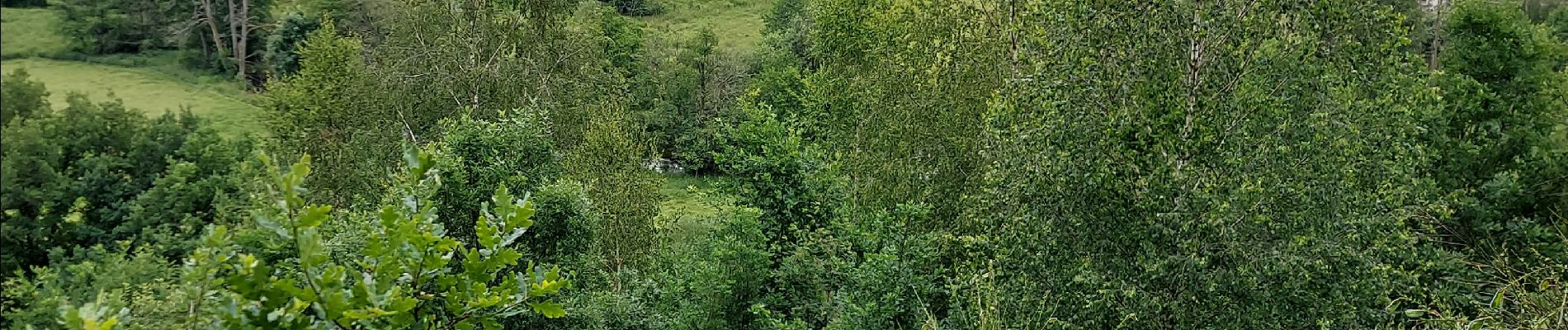 Tocht Stappen Martelange - MARTELANGE - Photo