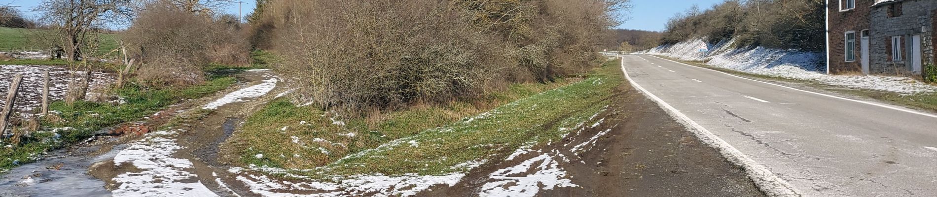 Percorso Marcia Beauraing - Feschaux 110221 - Photo