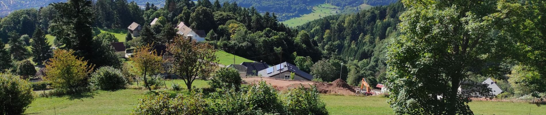 Tour Wandern Hohrod - Hohrodberg matin - Photo