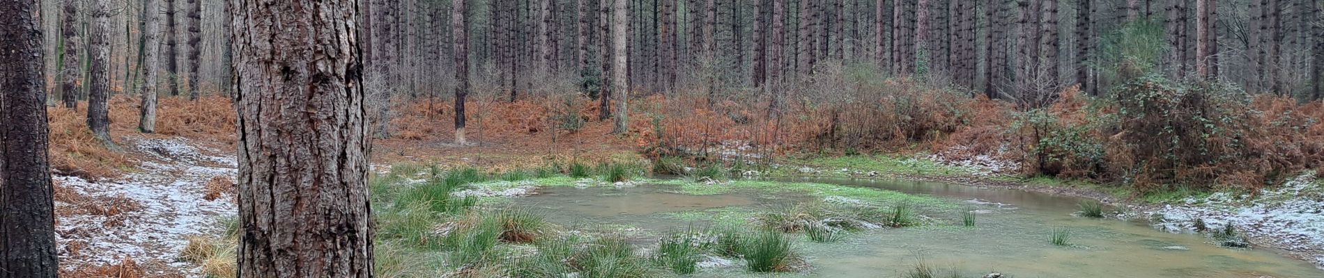 Tour Wandern Oissel - Oissel du 19/01/2023 - Photo