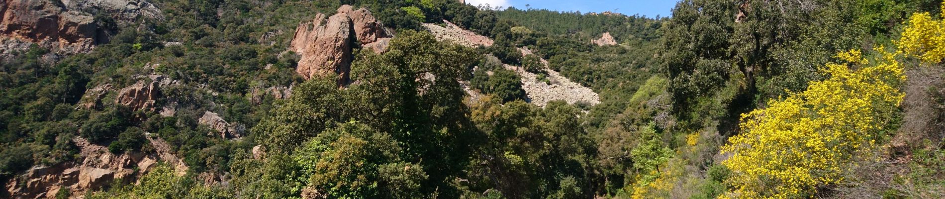 Randonnée V.T.T. Saint-Raphaël - tour Estérel crêtes et vallon - Photo