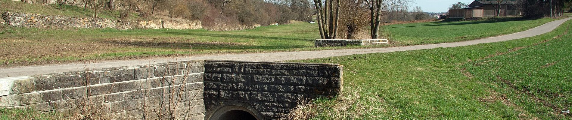 Percorso A piedi Bietigheim-Bissingen - Besen - Photo