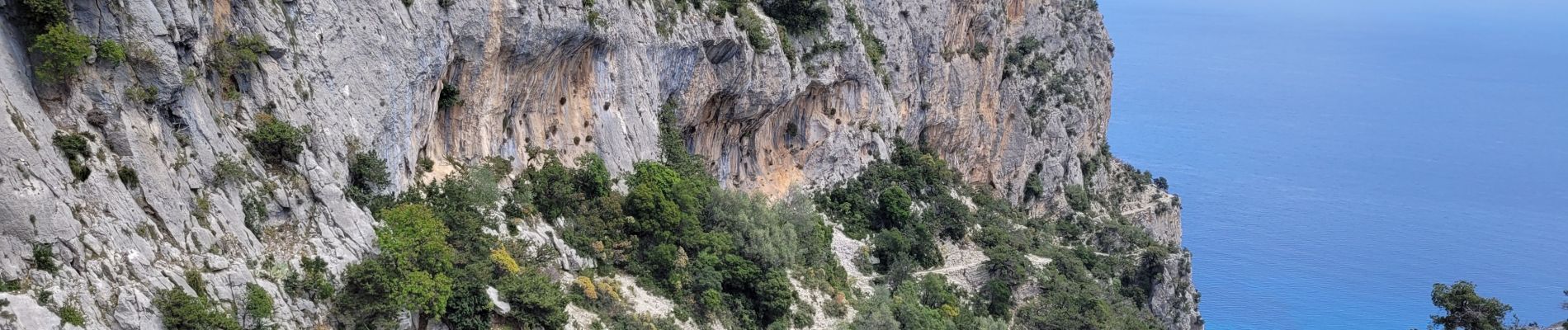 Trail Walking Baunei - Punta Giralidi  - Photo