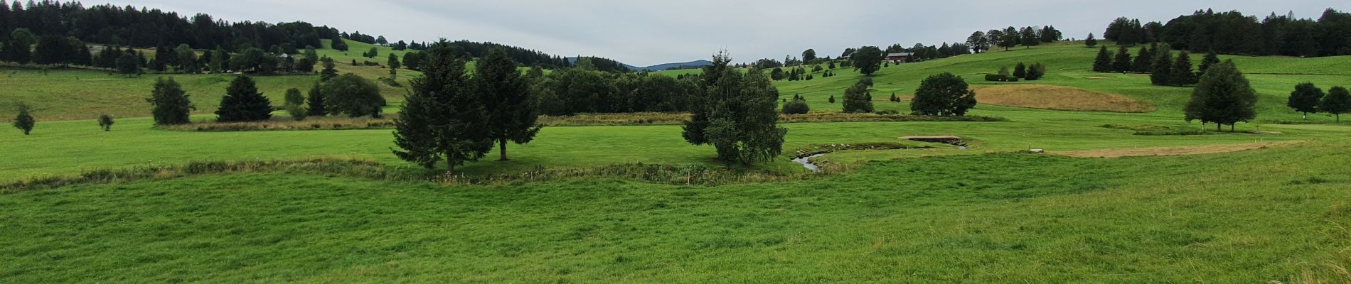 Tocht Stappen Les Rousses - Les Rousses - Cure - Suisse (boucle) - Photo