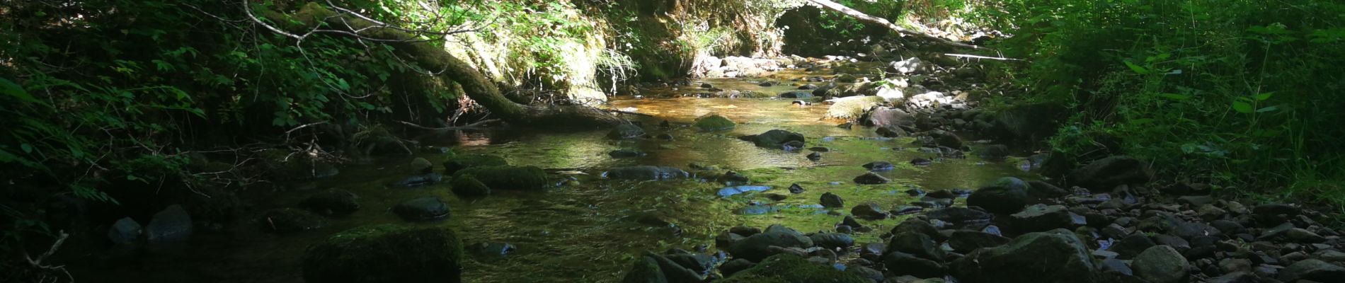 Tour Wandern Larodde - larodde - Photo