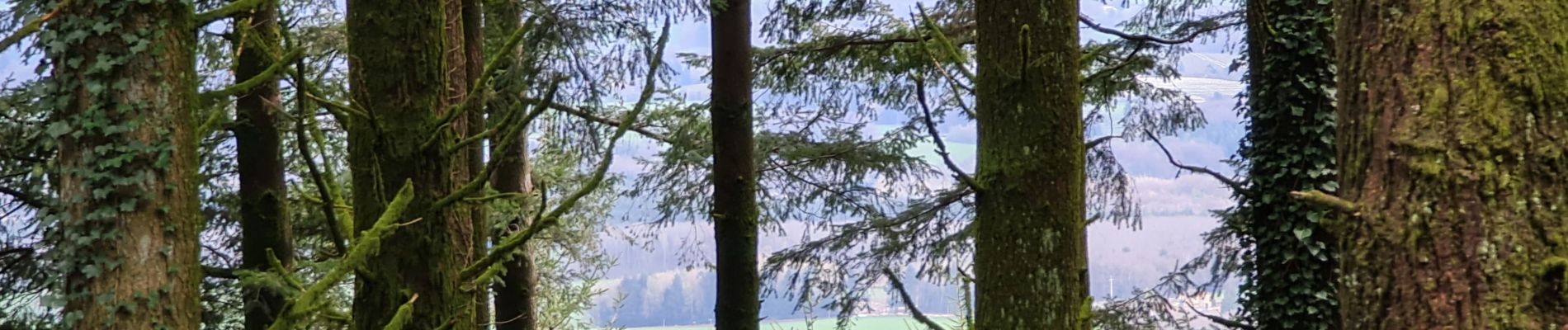 Tour Wandern La Jonchère-Saint-Maurice - la Jonchères st Maurice  - Photo