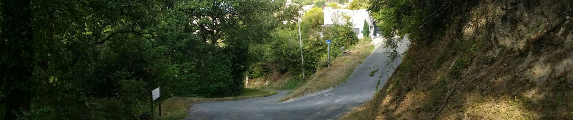 Excursión Senderismo Penne-d'Agenais - La randonnée de Penne d'agenais- Lot et Garonne  - Photo