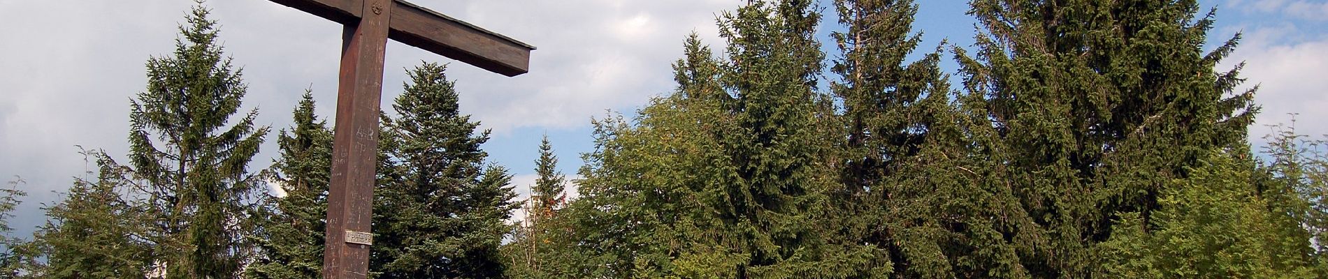 Tour Zu Fuß Pöllauberg - Masenberg über Staudach Weg 16 - Photo