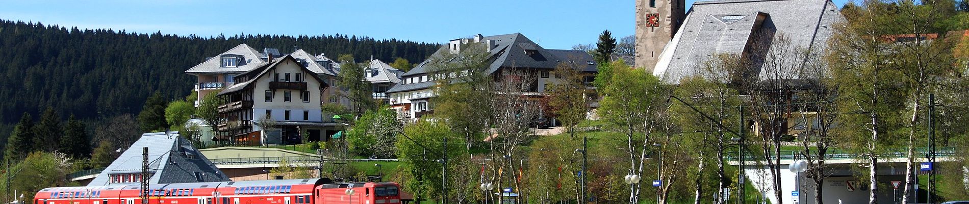 Tour Zu Fuß Schluchsee - Seerundweg - Photo
