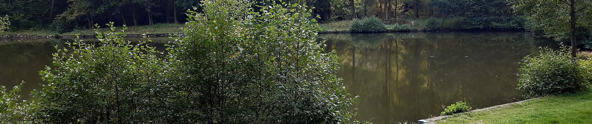 Randonnée A pied Südharz - Oberer Bandweg - Photo