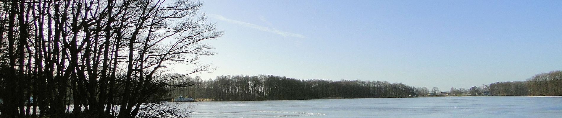 Tocht Te voet Dümmer - Rad-Wanderweg - Photo