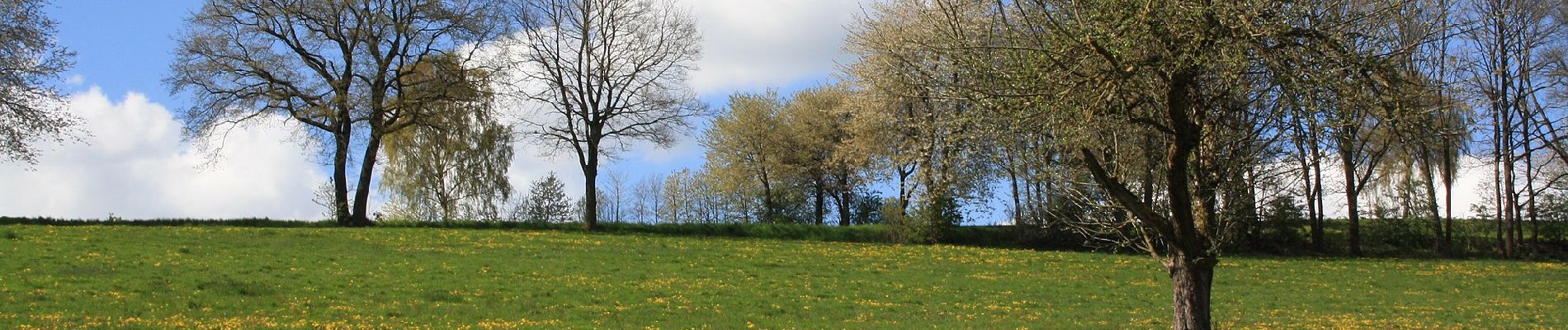 Randonnée A pied Ebersburg - Rhön-Rundweg 2 Weyhers - Photo