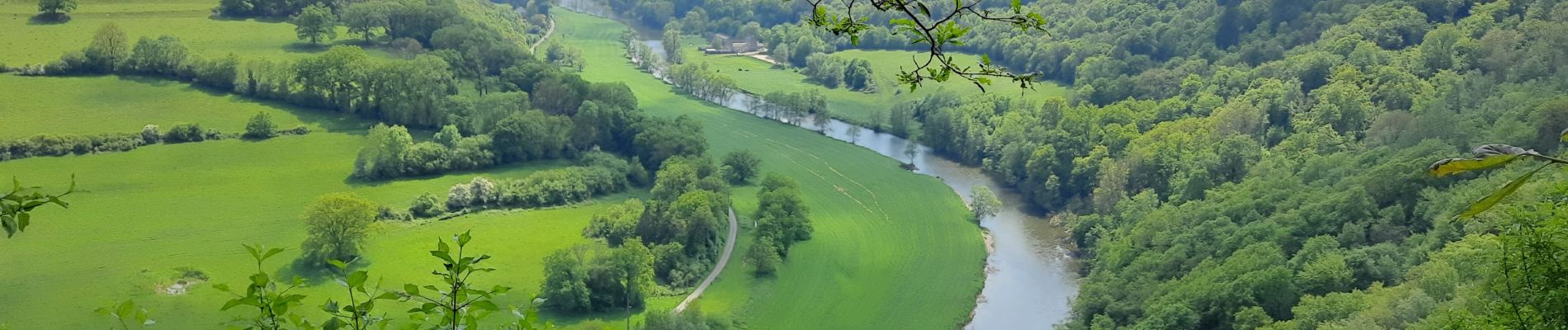 Trail Walking Esneux - La Boucle de l'Ourthe - Photo