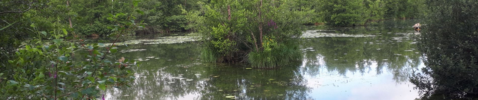 Tour Wandern Mareuil-Caubert - Au travers des étangs  - Photo