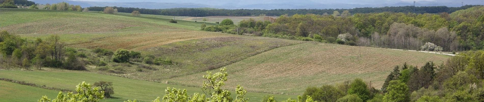 Tour Zu Fuß Agtelek - Zöldhatár tanösvény (Aggtelek-Domica) - Photo