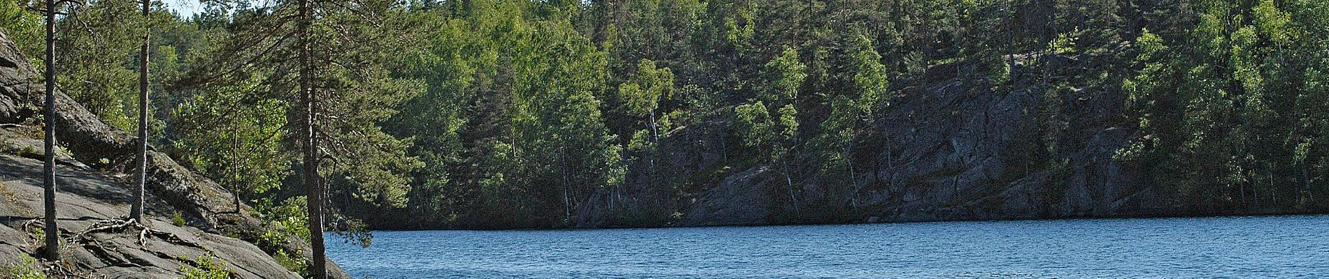 Tour Zu Fuß Espoo - Reitti 8.6 km - Photo