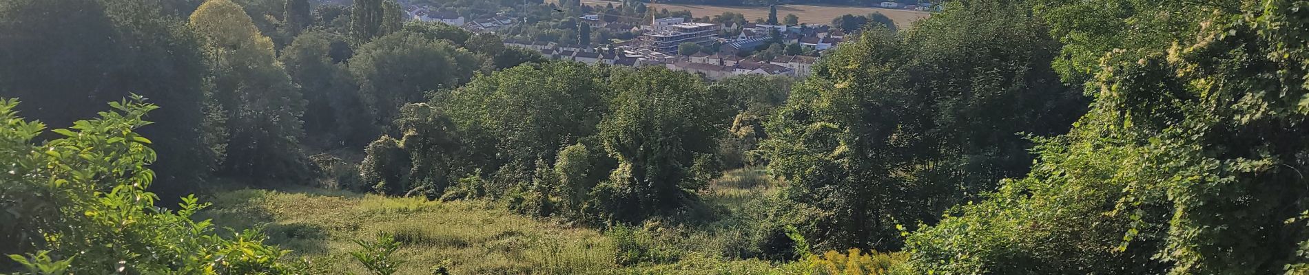 Percorso Bici da strada Saulny - szy - Photo