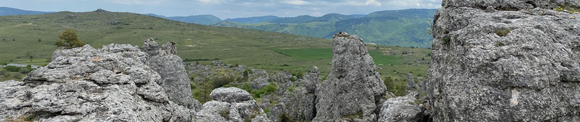 Trail Walking Fraissinet-de-Fourques - Parc National Nimes-le-Vieux - Photo