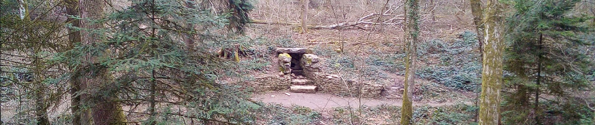 Tour Wandern Besançon - Forêt de CHAILLUZ - Photo