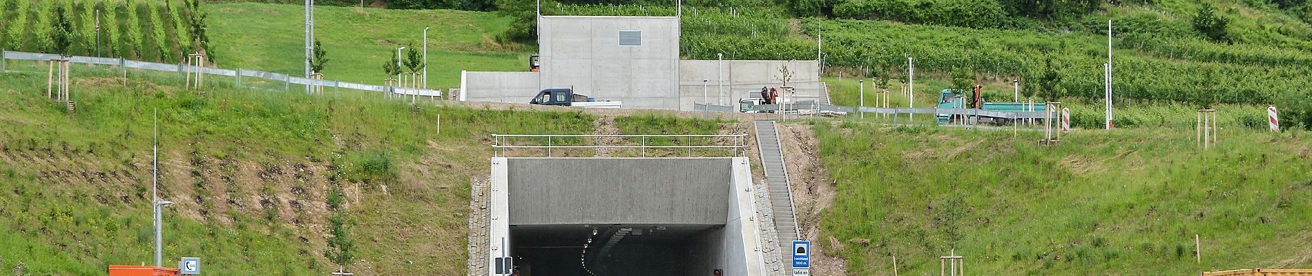 Randonnée A pied Schriesheim - Rundwanderweg Schriesheim 5: Branichweg - Photo