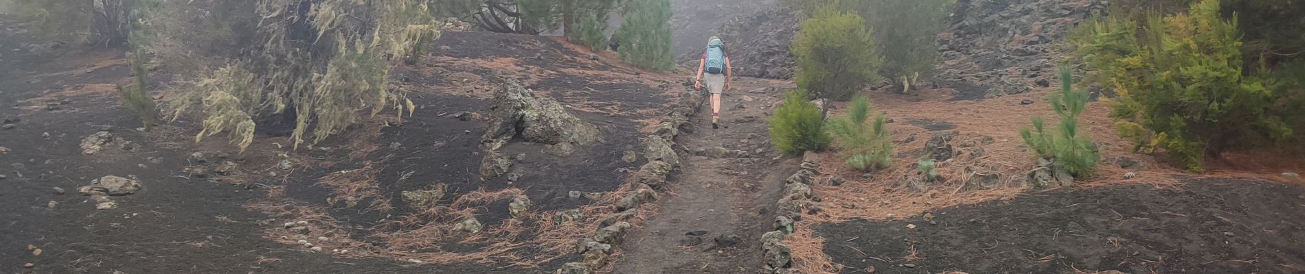 Tocht Stappen Garachico - tenerife dag 7 - Photo