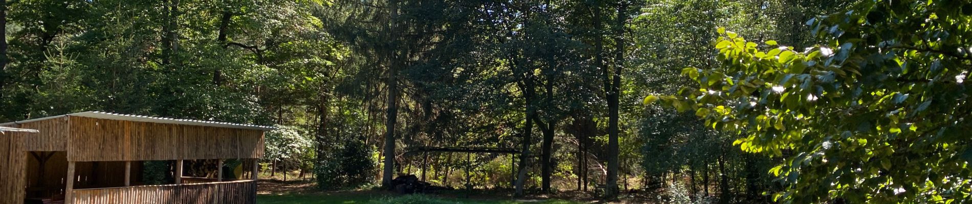 Percorso Equitazione Weyersheim - Hohenberg et forêt  - Photo