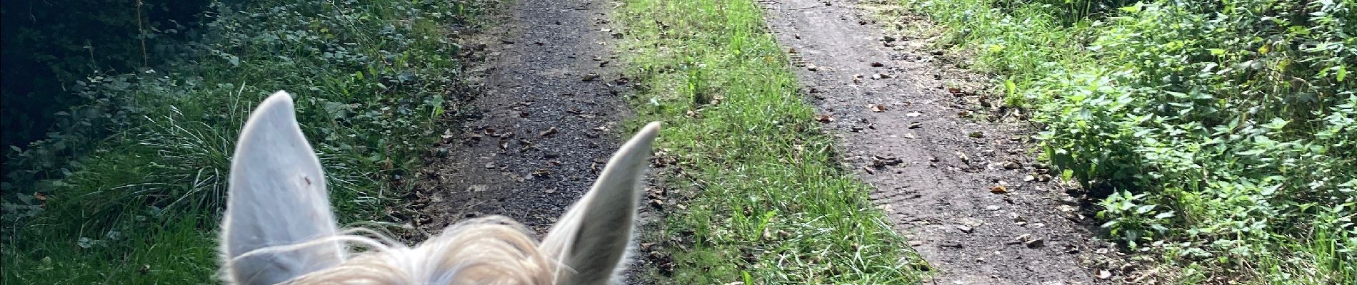 Trail Horseback riding Saint-Martin - Petit tour autour de la maison Vispa  - Photo