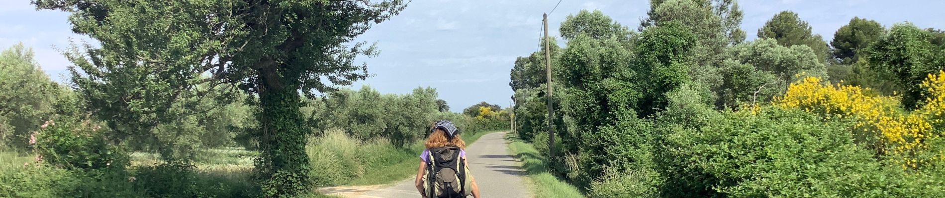 Tocht Stappen Mouriès - Caisses Jeanjean golf Servanes (boucle) - Photo