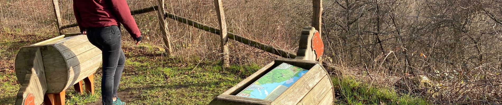 Tocht Stappen Wezet - Montagne Saint Pierre  - Photo