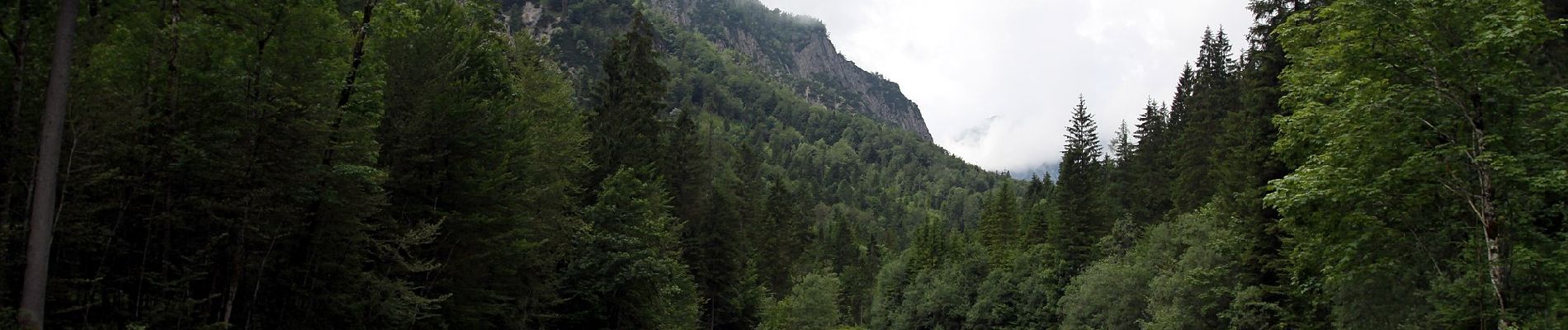 Excursión A pie Gemeinde Kirchdorf in Tirol - Wanderweg 20 - Feldberg/Scheibenbichlalm/Kaisertal - Photo