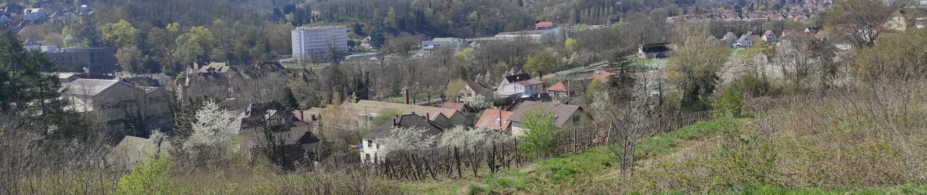 Randonnée Marche Guebwiller - Guebwiller Dreibanstein - Photo