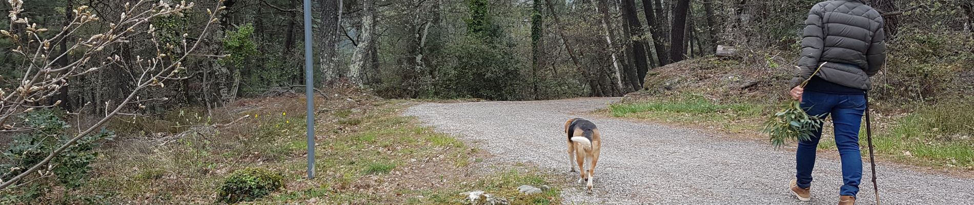 Trail Walking Sanilhac - Sanilhac du pezenas au Blachis - Photo