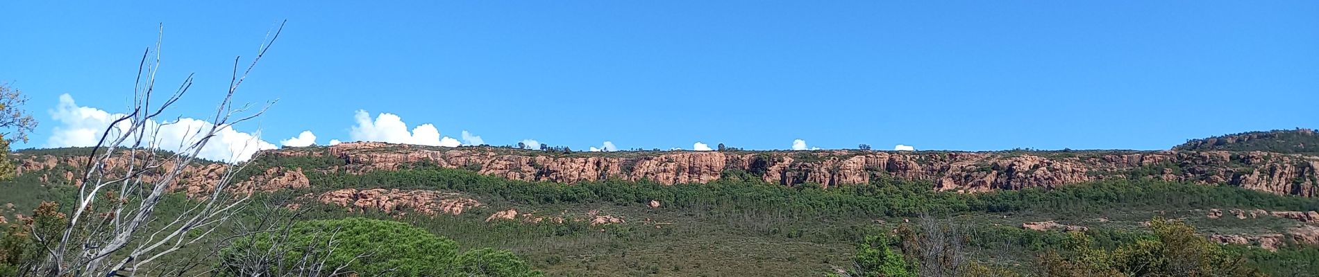 Excursión Senderismo Le Muy - Le Rouet Vignes - Photo