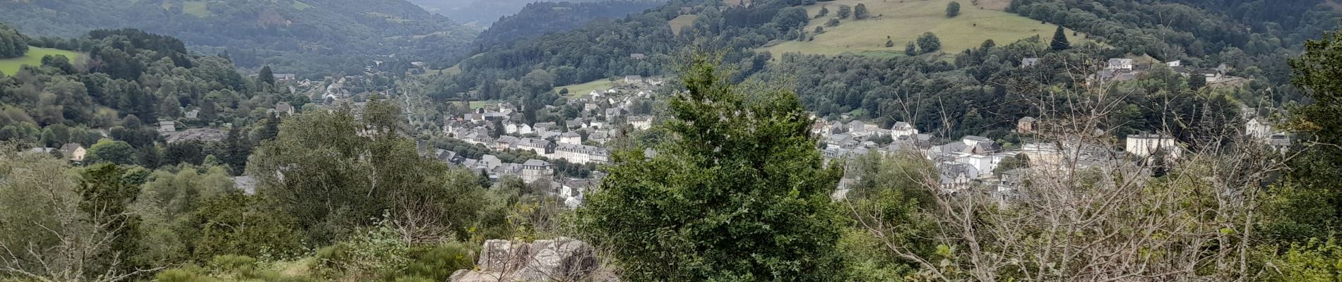 Tocht Stappen La Bourboule - La Bourboule - Funiculaire - Roche des Fées  - Photo