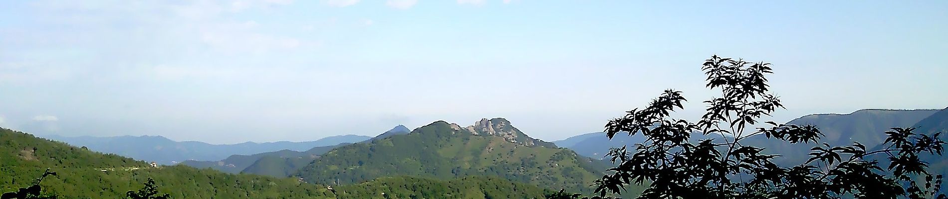 Randonnée A pied Valbrevenna - Pochettini - Monte Schigonzo - Monte Cugno - Photo