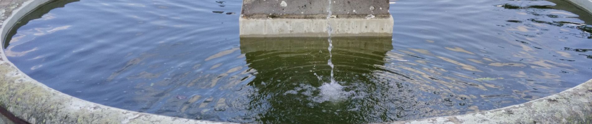 Randonnée Marche Pontgibaud - Sioule et Cheire de Pontgibaud  - Photo