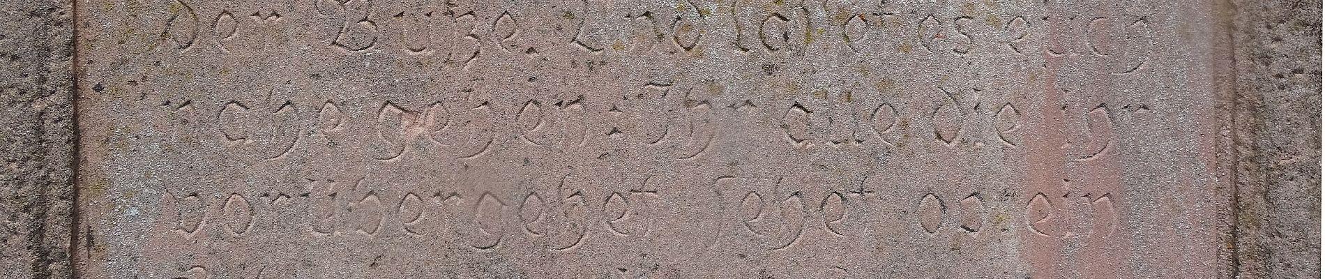 Tour Zu Fuß Sailauf - Sailauf Rundwanderweg 1 - Photo