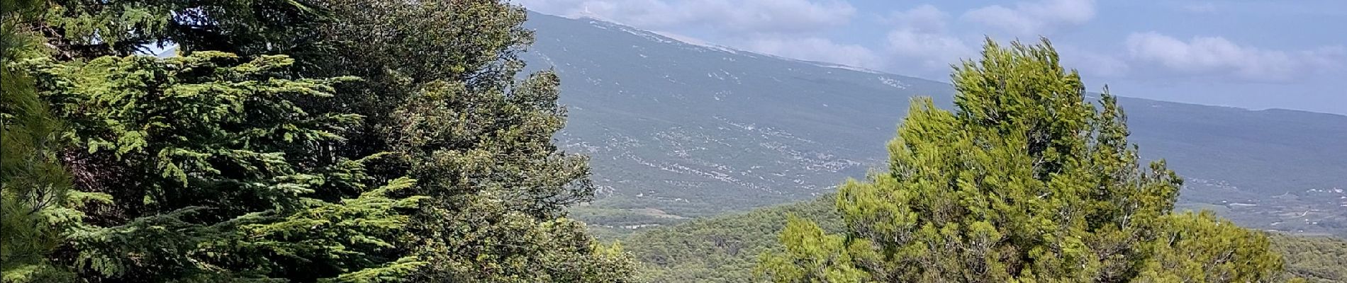 Trail Walking Crillon-le-Brave - Torrent Pied Blanc / Rocher de la Madeleine - Photo