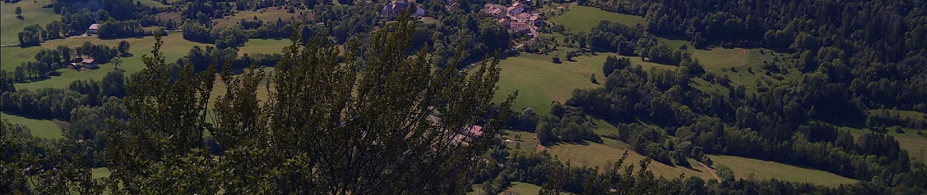 Tour Wandern Choux - Choux Belvédère du Cuchet - Photo