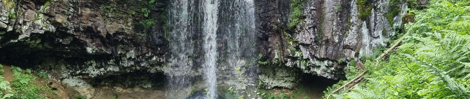 Excursión Senderismo Laqueuille - 2021-06-28 cascade du trador - Photo