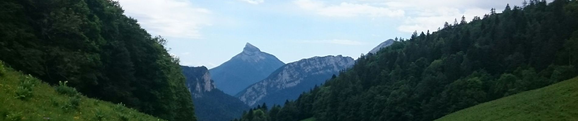 Randonnée Marche Saint-Pierre-de-Chartreuse - Col  de la ruchère par le Habert du Billon - Photo