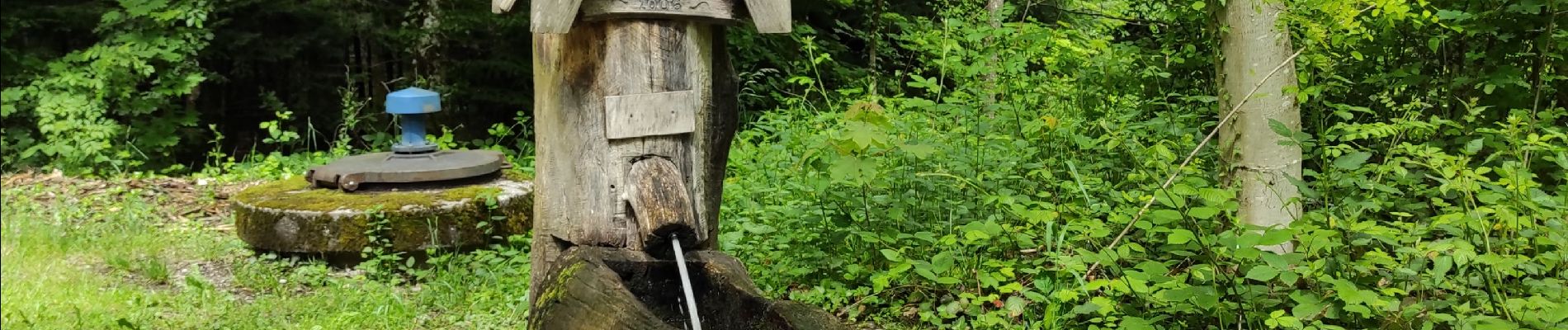 Tour Wandern Wünheim - Wuenheim 2 - Photo