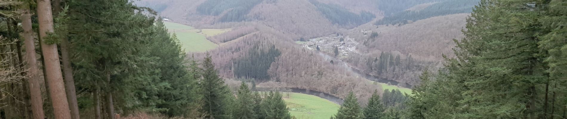 Tour Wandern La Roche-en-Ardenne - sacrée  borzee m'abonne berosmenil - Photo