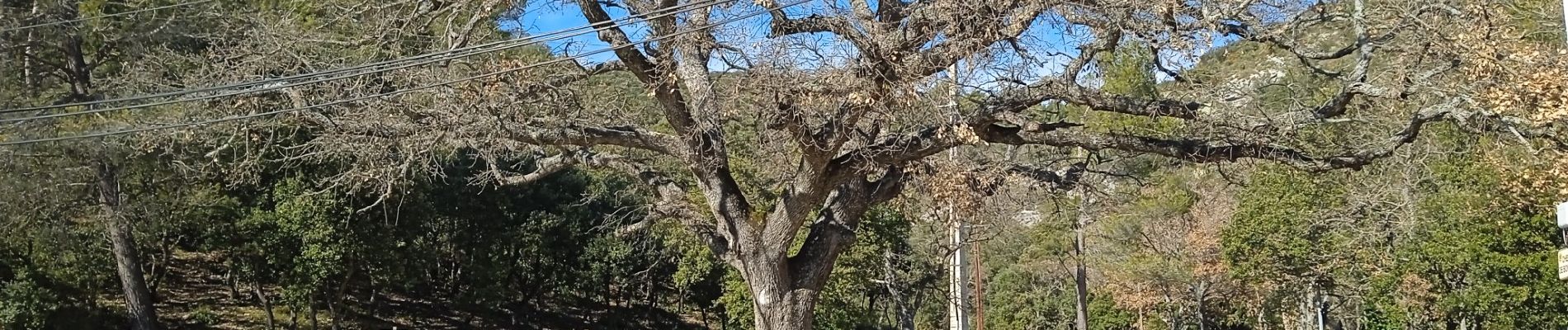 Excursión Senderismo Lauris - Parcours du 18/02/2022 14h19 - Photo