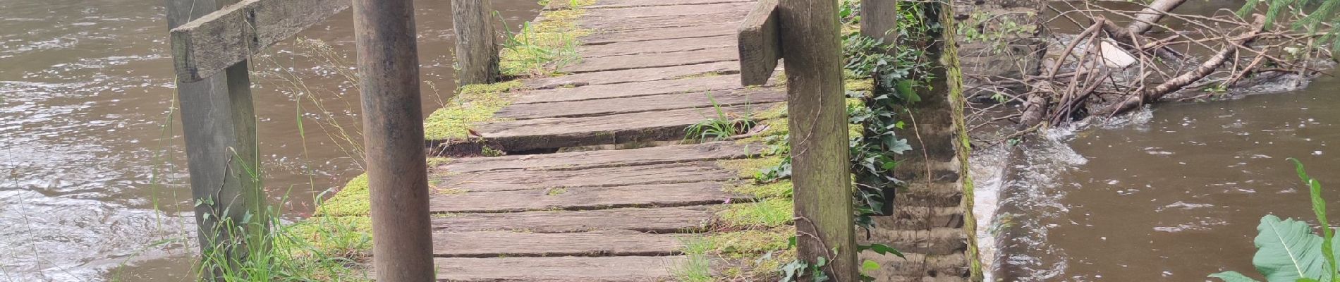 Tour Wandern Saint-Philbert-sur-Orne - La roche d'oëtre - Le cul du Rouvre - Photo