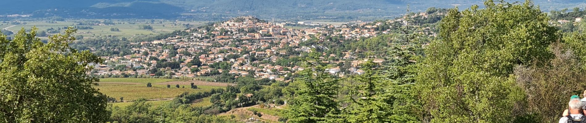 Percorso Marcia Pierrefeu-du-Var - Pierrefeu du var - les Baisses - Photo