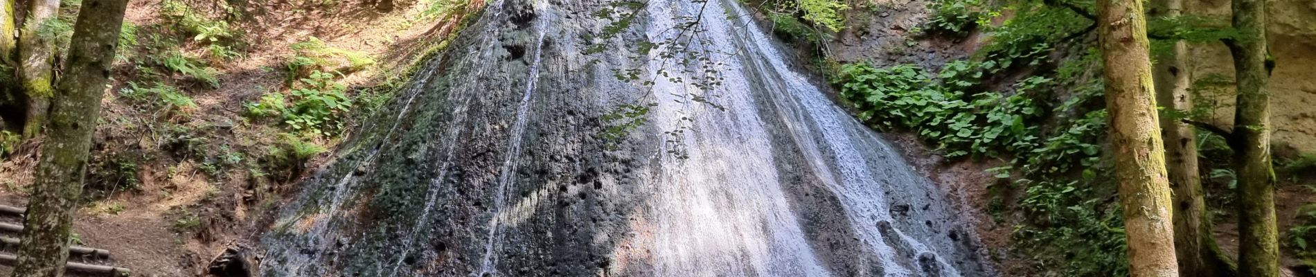 Percorso Marcia Mont-Dore - 2021-06-27 les 3 cascades Mont Dore - Photo