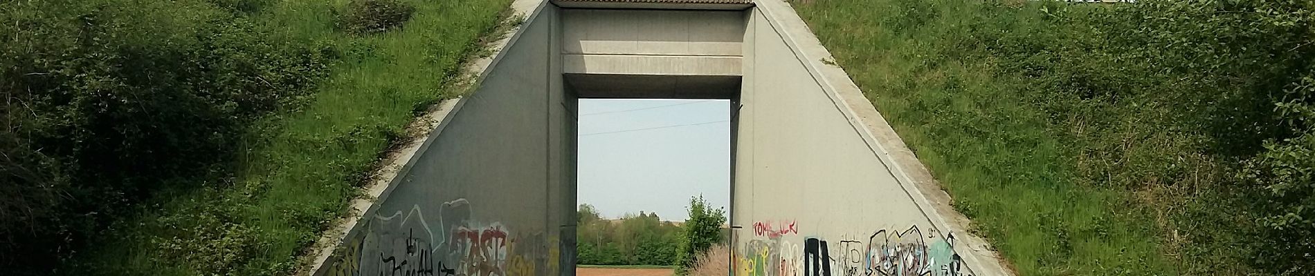 Tour Zu Fuß Reinheim - Ortsrundwanderweg Zeilhard 1 - Photo