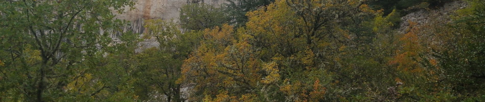 Tour Wandern Monieux - le vallon du loup - Photo