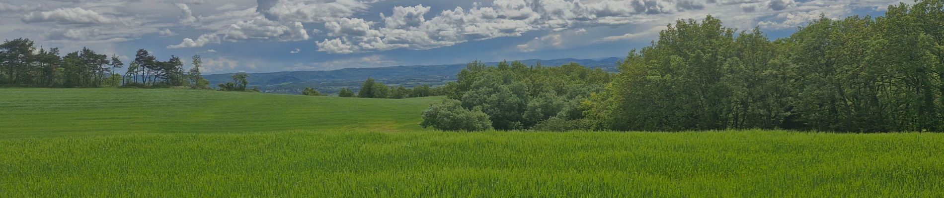 Randonnée Marche Puy-Saint-Martin - Puy-Saint-Martin Le Baron 10km. - Photo